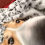 Profile picture of Ashley Martin