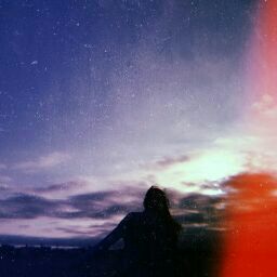Profile picture of Nicole Ninaquispe
