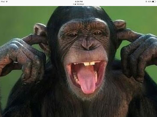 Profile picture of Morgan Clark