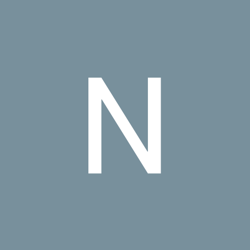 Profile picture of Nerijus Orintas
