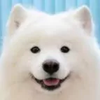 Profile picture of Eva Rosen