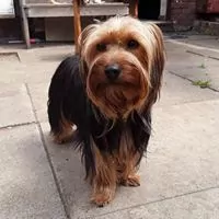 Profile Photo