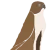 Profile picture of Horus3D